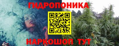 ГАЛЛЮЦИНОГЕННЫЕ ГРИБЫ Кингисепп