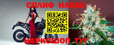 ГАЛЛЮЦИНОГЕННЫЕ ГРИБЫ Кингисепп