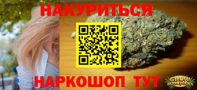 ГАЛЛЮЦИНОГЕННЫЕ ГРИБЫ Кингисепп