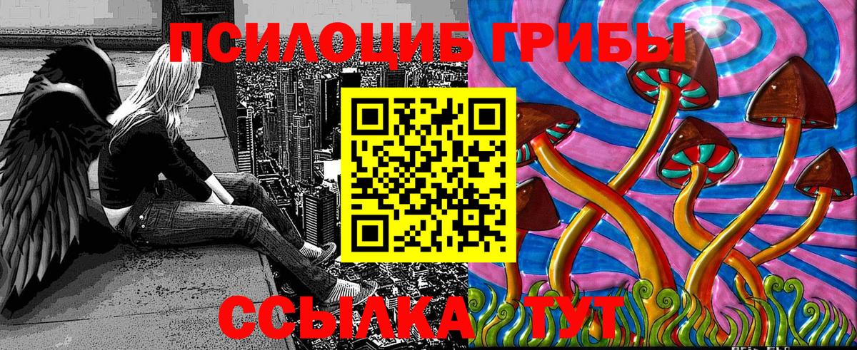Галлюциногенные грибы Psilocybine cubensis Кунгур