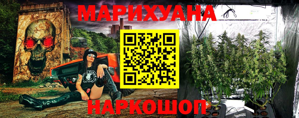 МАРИХУАНА семена Кунгур